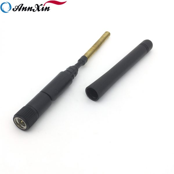 Manufactory Supply Wholesale High Quality 2dBi 263MHz Antenna (6)